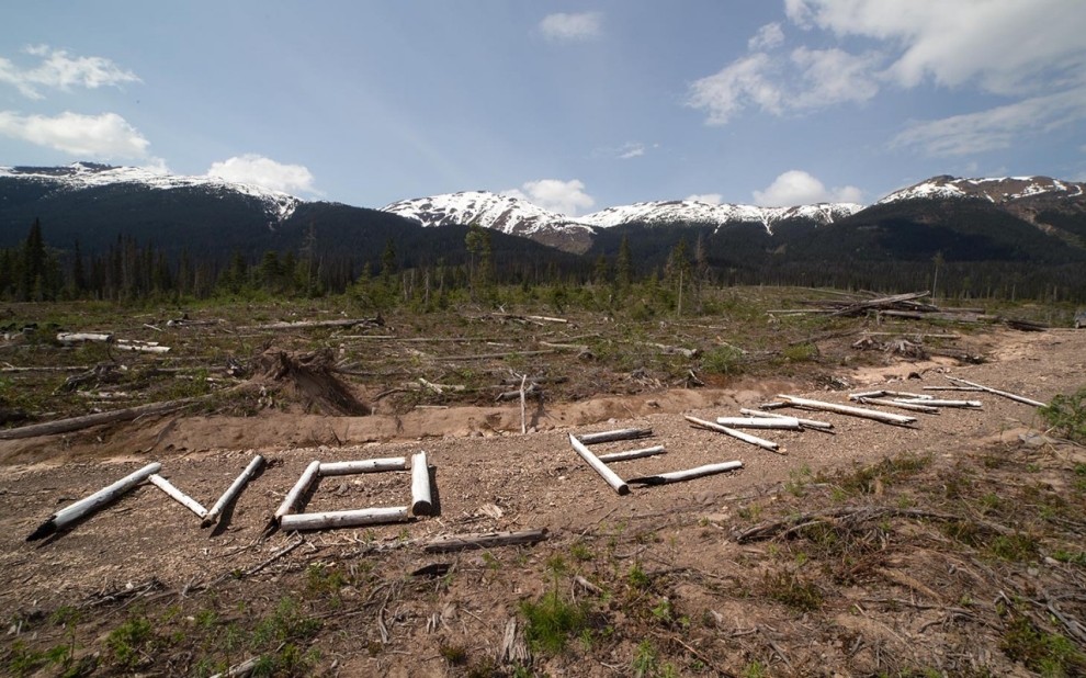 Unist'ot'en, British Columbia, pipeline development